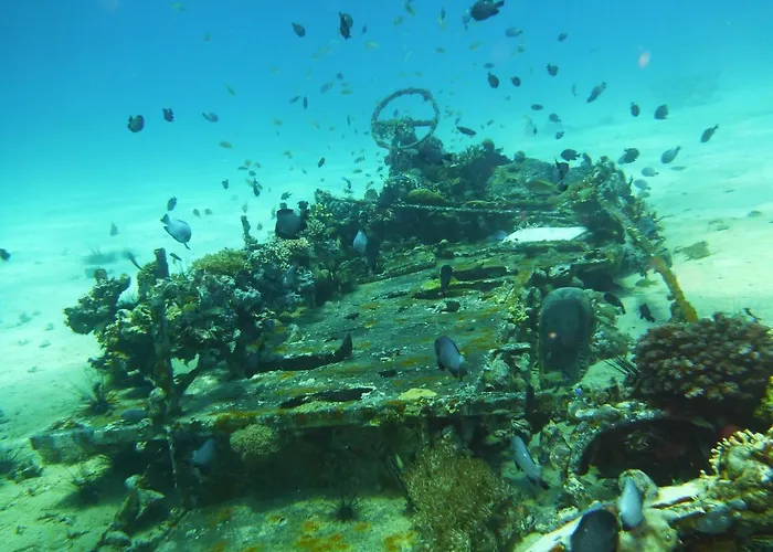 Malapascua Exotic Island Dive 5* Daanbantayan